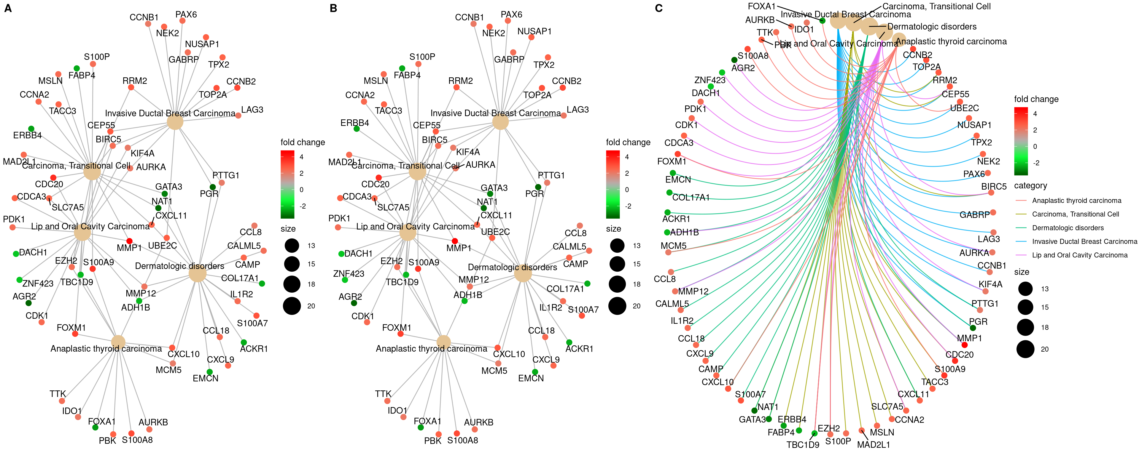 Network plot of enriched terms.