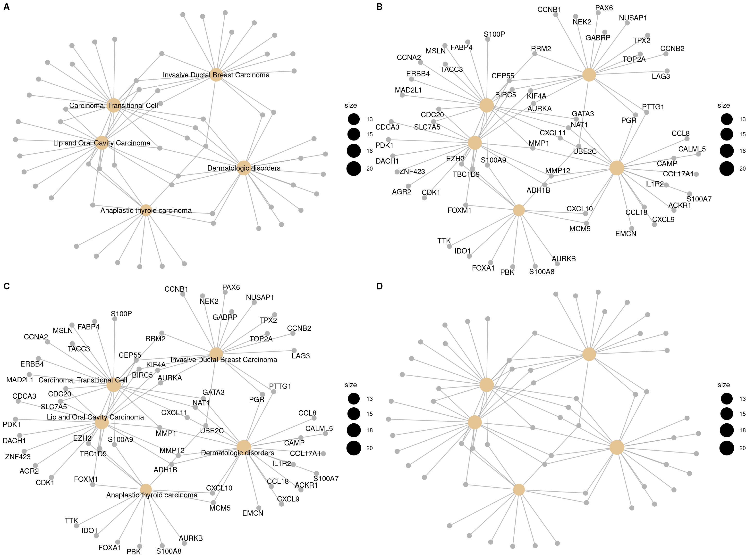 Labelling nodes by selected subset. gene category (A), gene name (B), both gene category and gene name (C, default) and not to label at all (D).
