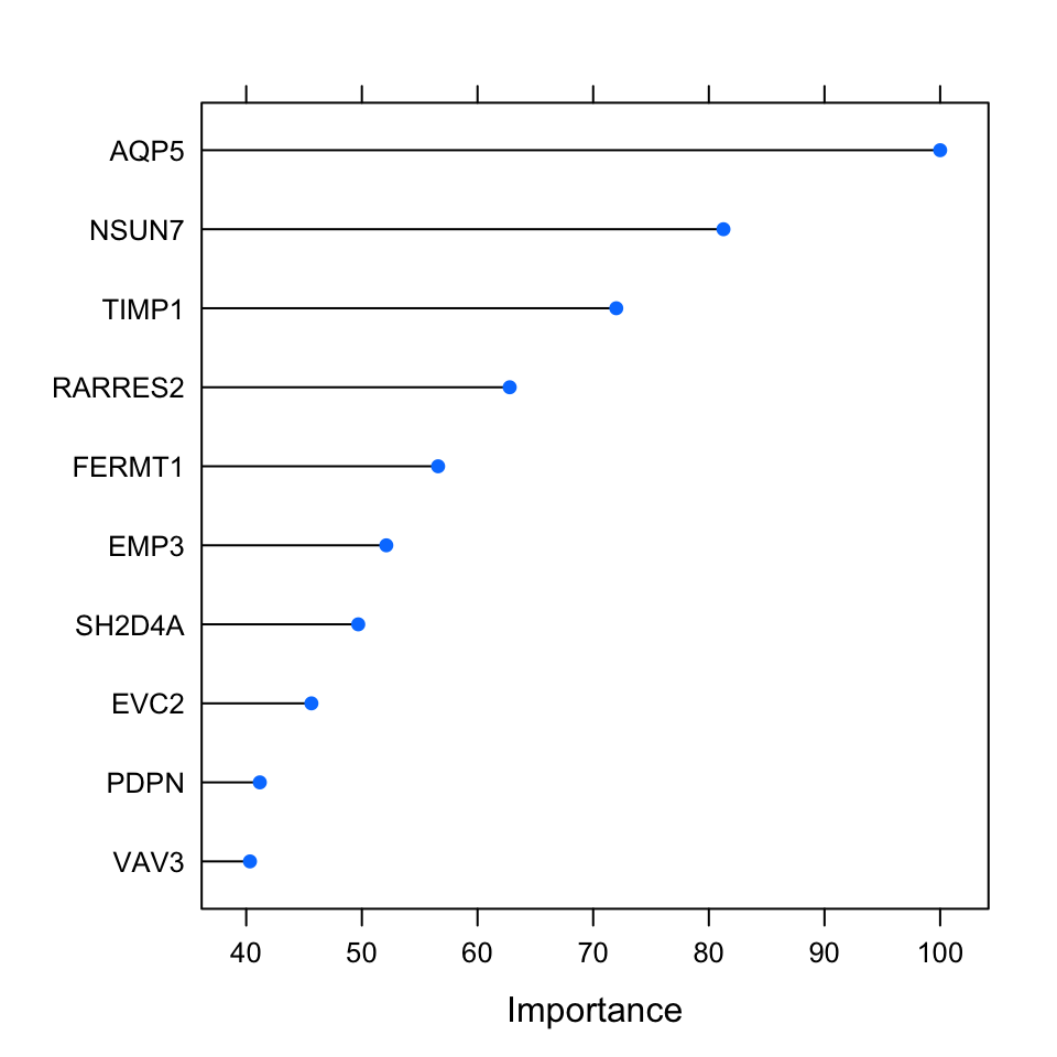 Top 10 important variables based on permutation-based method for the random forest classification.