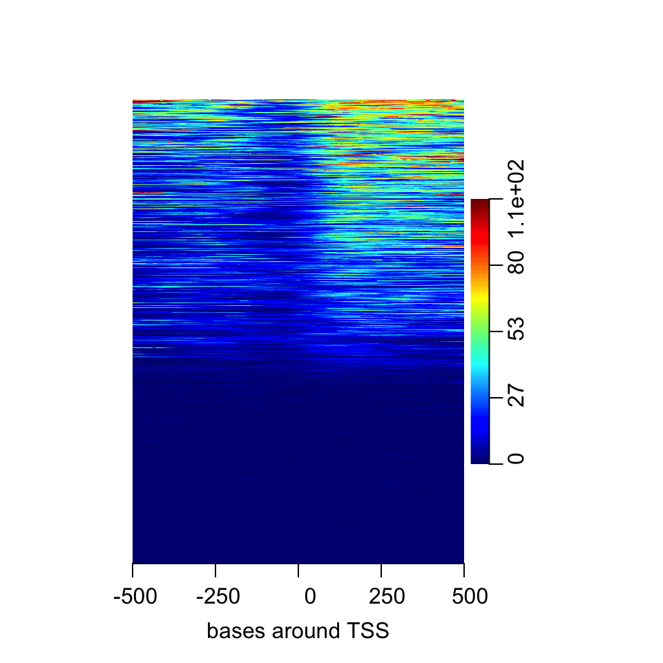 Heatmap of enrichment of H3K4me2 around the TSS.