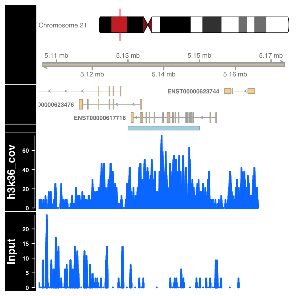 Visualization of H3K36me3 ChIP signal on a called broad peak.