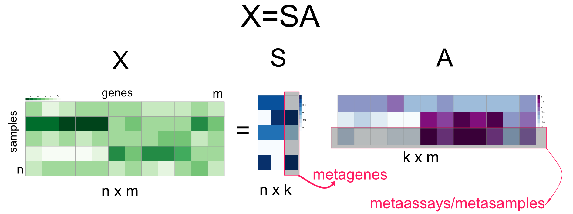 Independent Component Analysis (ICA)