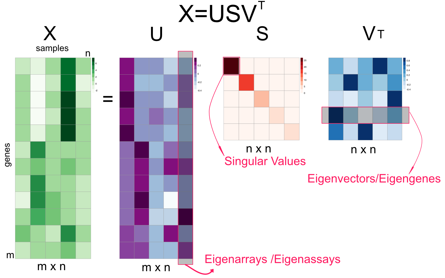 Singular value decomposition (SVD) explained in a diagram. 