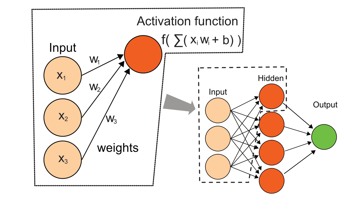 Diagram for a simple neural network, their combinations pass through hidden layers and are combined again for the output. Predictor variables are fed to the network and weights are adjusted to optimize the cost function.