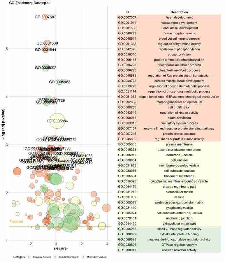 Hiplot (ORG)